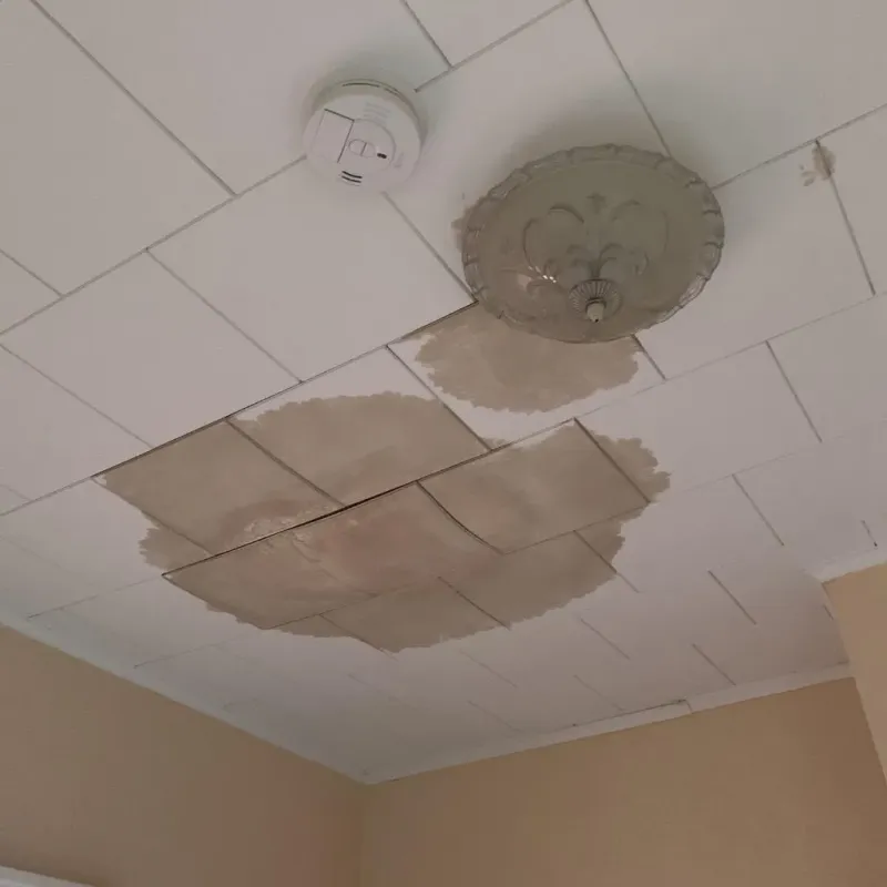 Ceiling Water Damage Repair in Union Point, GA